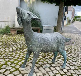 Ziege Bornheim