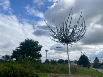Storchennest Bornheim (3)