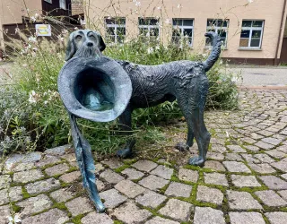 Hund des Harlekin