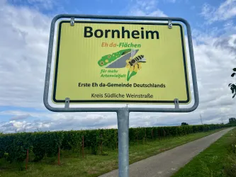 Eh da-Flächen Bornheim