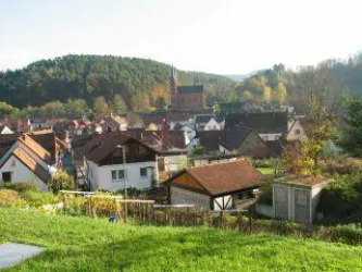 Ausblick vom Haus auf den Ort (© Archiv Verkehrsverein Südwestpfalz)