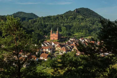Blick zur Protestantischen Kirche Wilgartswiesen