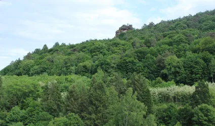 Blick vom Balkon