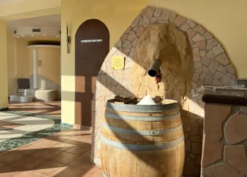 Wellness-Refugium Eisbrunnen (© Hotel Am Hirschhorn)