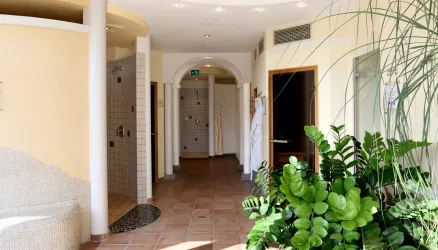 Wellness-Refugium Saunalandschaft (© Hotel Am Hirschhorn)