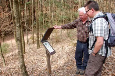Im Schulwald (© Sonja Spieß)
