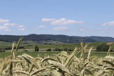 Aussicht (© Britta Dieterle)