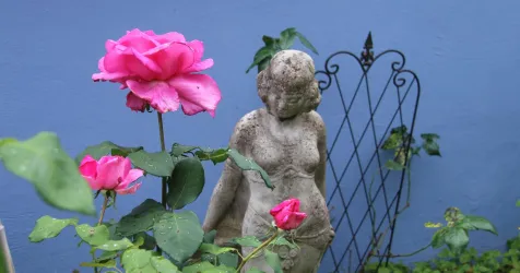 Romantik im Rosengarten, Bild 1 (© No. 31 – Bed & Breakfast im Rosengarten)