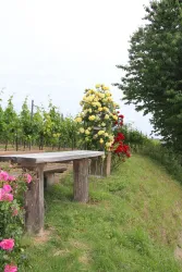An der Kreuzung (© Britta Dieterle)