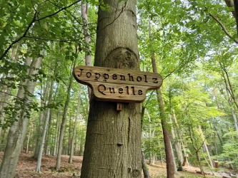 Hinweisschild Joppenholz Quelle