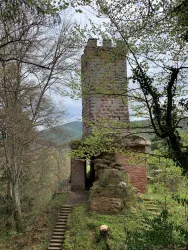 Burgruine Erfenstein