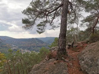 Alter Teufelsfelsen - Sitzbank - Weitsicht