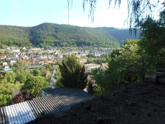 Blick vom Garten