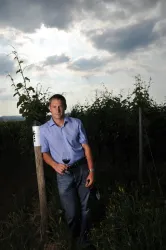 Bioweingut Reinhart - Der Winzer