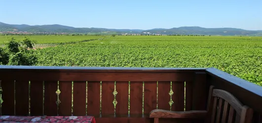 Weingut Eberle 59 Jun 30 2015