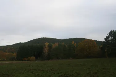 Umgebung II (© Fam. Seibel)