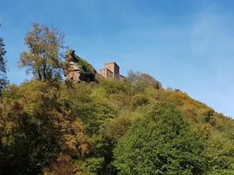Umgebung IX (© Fam. Seibel)