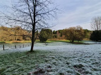 Umgebung VIII (© Fam. Seibel)