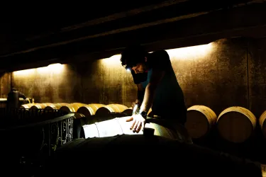 Holzfasskeller 2 (© TI Wachenheim)