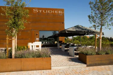 Weingut Studier (© TI Wachenheim)