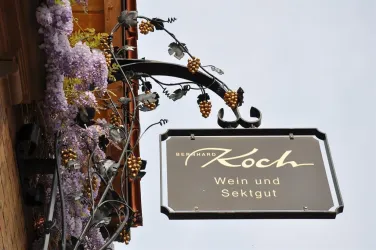 Koch Hainfeld (© Weingut Koch)