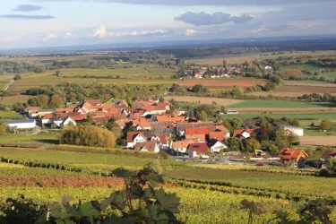 Blick auf Pleisweiler (© Archiv Tourismusverein SÜW Bad Bergzabern e.V.)