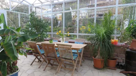 Wintergarten (© Harald Lehmann)