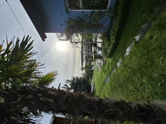 Gartenanlage