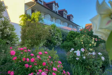 Garten 1