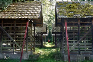 Sondernheim, Alte Ziegelei-2068