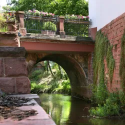 Queichbegleitender Weg-0015