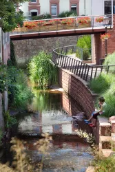 Queichbegleitender Weg-0265