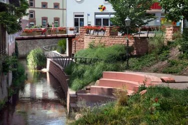 Queichbegleitender Weg-0012