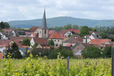 Blick auf Bissersheim