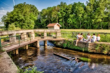 Rheinschleife für Entdecker - Picknick Teilungsweh