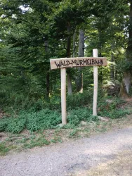 Start der Waldmurmelbahn (© Donnersberg-Touristik-Verband e.V.)