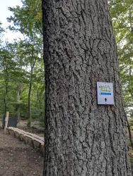 Beschilderung Waldmurmelbahn