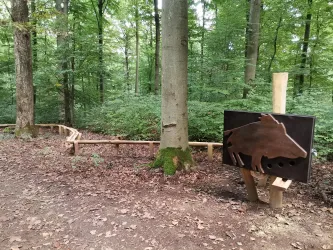 Wildschwein Murmelbahnstation