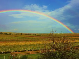 Blick aus FeWo in die Rheinebene (© Erika Thurau)