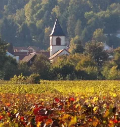 Blick nach Westen (© Erika Thurau)