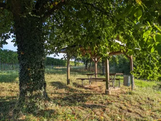 Schattiges Plätzchen am Schützenstück