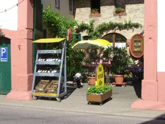Weingut Hans-Georg Kaufmann