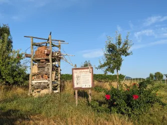 Lieblingsplätzel