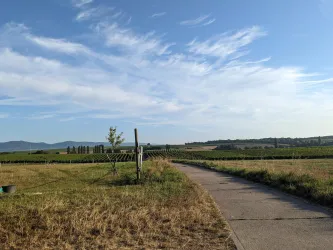 Ausblick vom Lieblingsplätzel