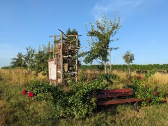 Lieblingsplätzel - Ein schöner Platz zum Erholen