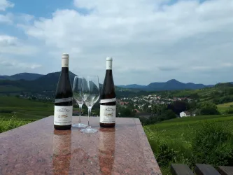 Weinreben Hahn-Hof Blick Trifels (© Verein SÜW Annweiler e.V.)