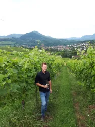 Weingut Hahn-Hof im Weinberg (© Verein SÜW Annweiler e.V.)