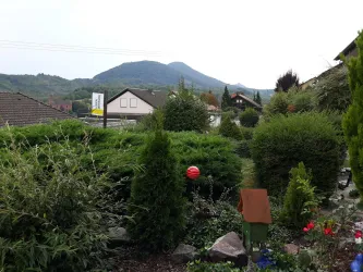 Blick auf Trifels (© Ferienwohnung Hohenberg)