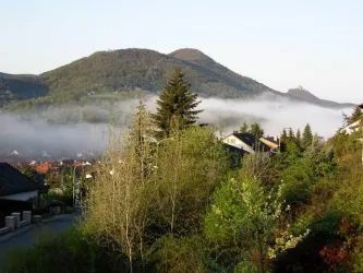 Ausblick auf Hohenberg und Trifels