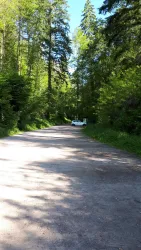 Wanderparkplatz St. Johann (© Verein SÜW Annweiler e.V.)